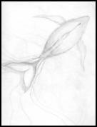 WhaleExercise.jpg_small