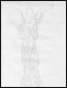 TreeLady.jpg_small