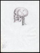 FirstSkull.jpg_small