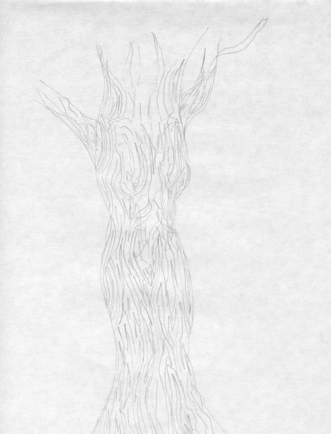 TreeLady