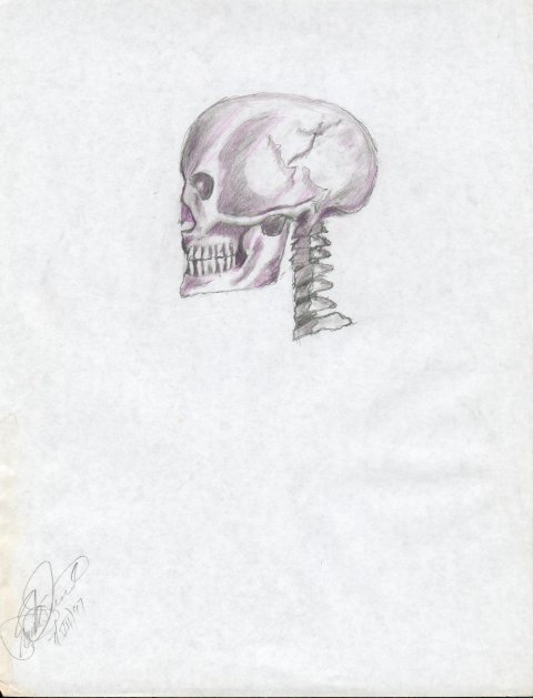 FirstSkull