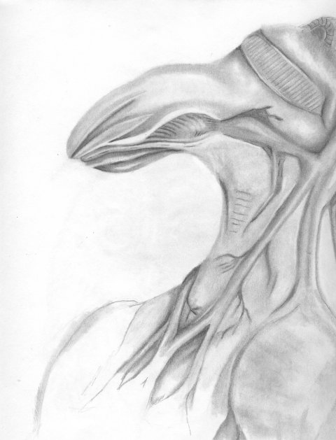 AlienDude
