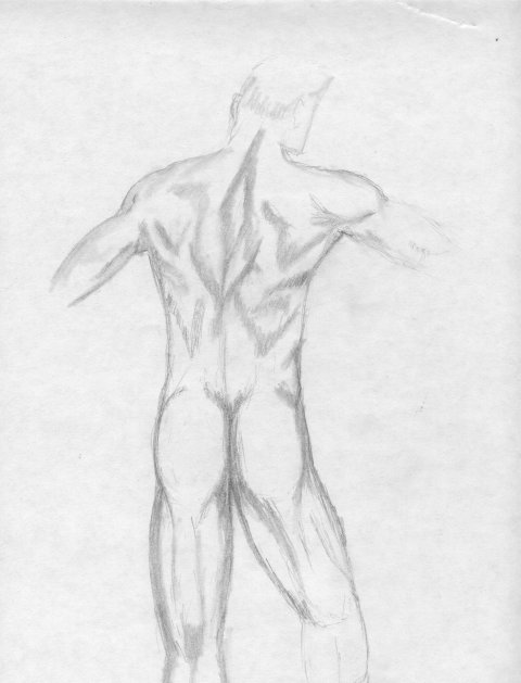 MaleFigureBack2