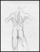 MaleFigureBack2.jpg_small