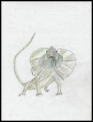 Lizard.jpg_small