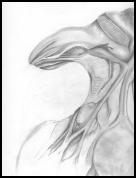 AlienDude.jpg_small