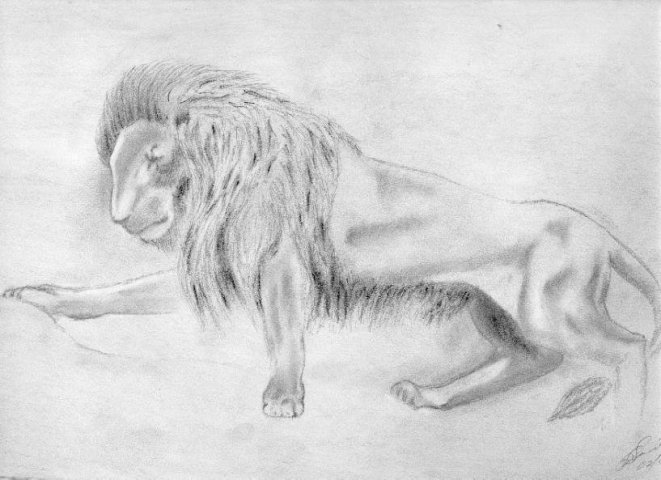 FirstLion