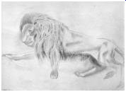 FirstLion_small