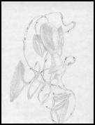 Abstract.jpg_small