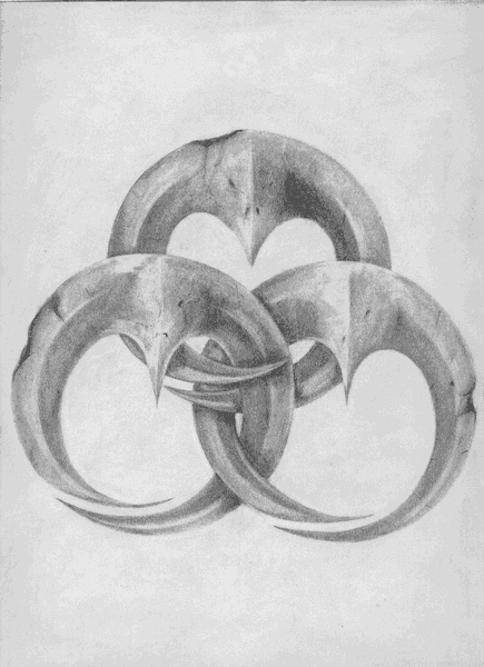 RavenClanTalisman