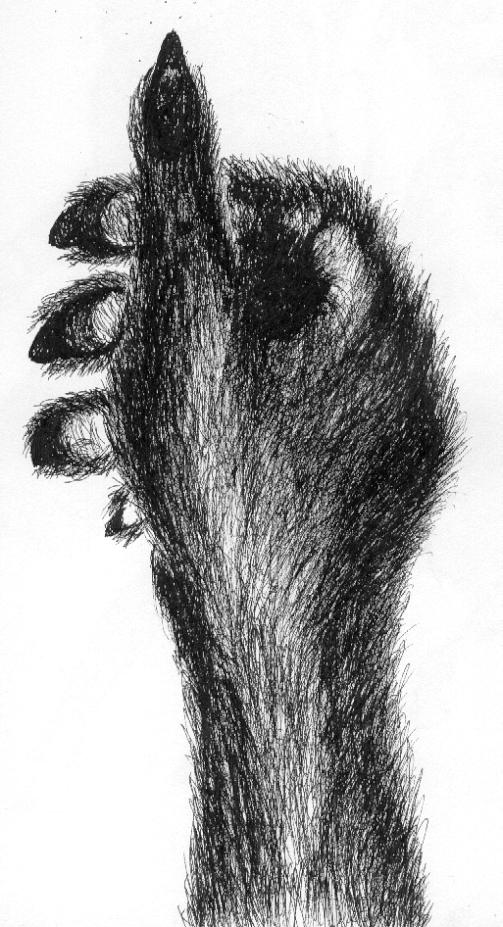 MyFurredHand