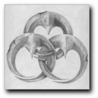 tn_RavenClanTalisman