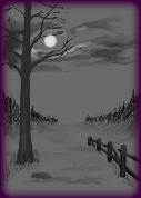 Nightscene.jpg_small