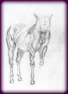 Centaur.jpg_small