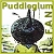 I shouldn't Wonder: a Puddleglum Fanlisting