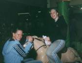 we liked that horse