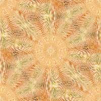 FoxyLady Designs