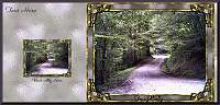 Bettys_Forest