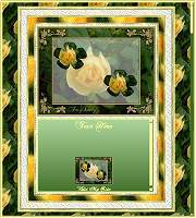 Double_Yellow_Rose