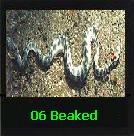 The Beaked Sea Snake