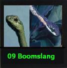 The Boomslang