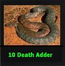 The Death Adder