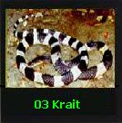 The Krait Snake