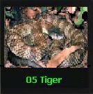 The Tiger Snake