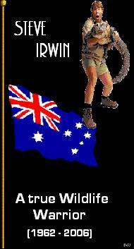 Steve Irwin Wildlife Warrior