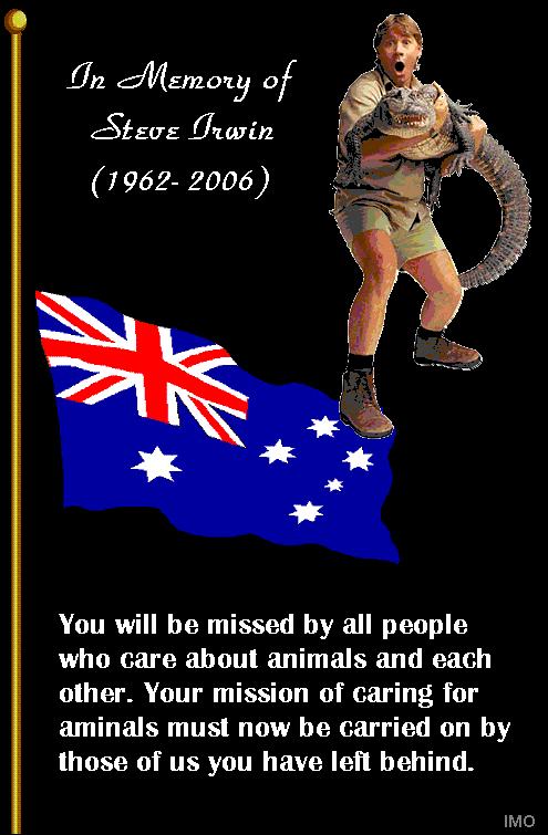 In Memory of Steve Irwin.