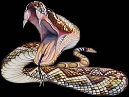 An artist rendition of a striking rattlesnake