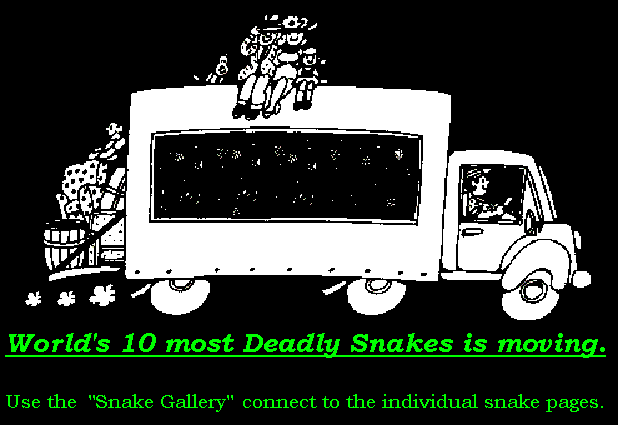 World's 10 most Deadly Snakes moving.