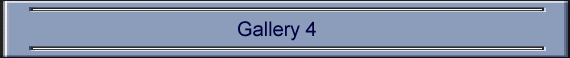Gallery 4