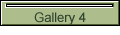 Gallery 4