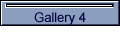 Gallery 4