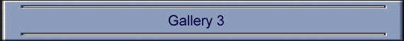 Gallery 3