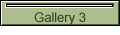 Gallery 3