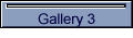 Gallery 3
