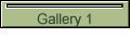 Gallery 1