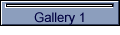 Gallery 1
