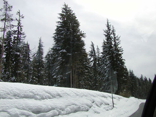 the-drive-snow