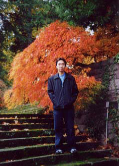 fall