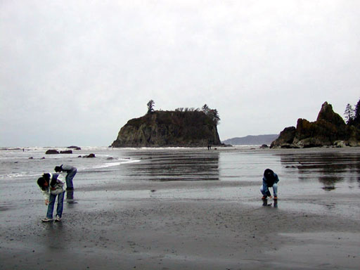 beach-rock