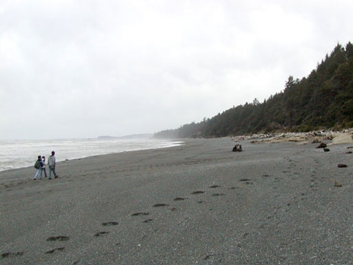 beach-trail