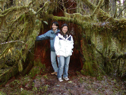 hall-of-moss1