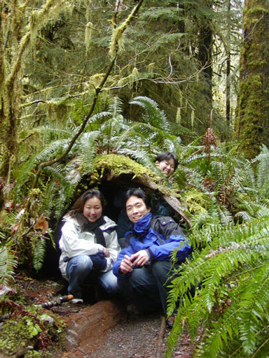marymere-inside-log