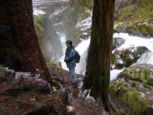 sol-duc-falls-jen