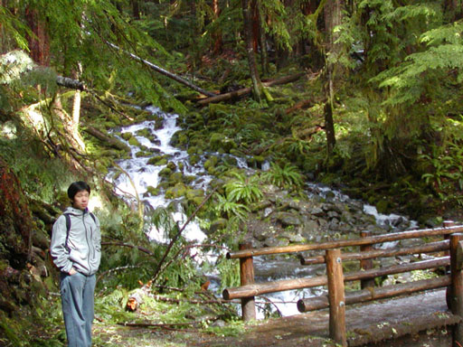 sol-duc-falls