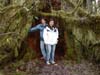 hall-of-moss1