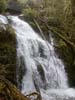 quinault-falls